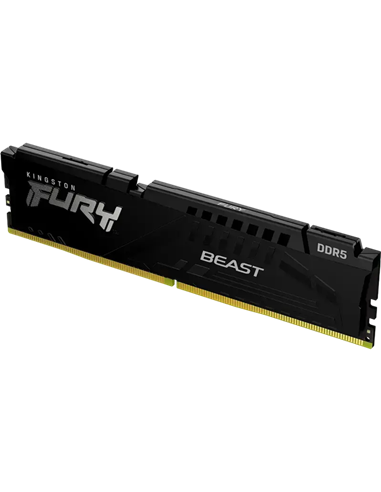 Оперативная память Kingston FURY Beast, DDR5 SDRAM, 6000 МГц, 32 ГБ, KF560C30BBE-32