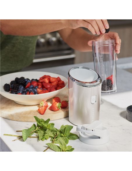 Стационарный блендер Cuisinart RPB100E, Нержавеющая сталь