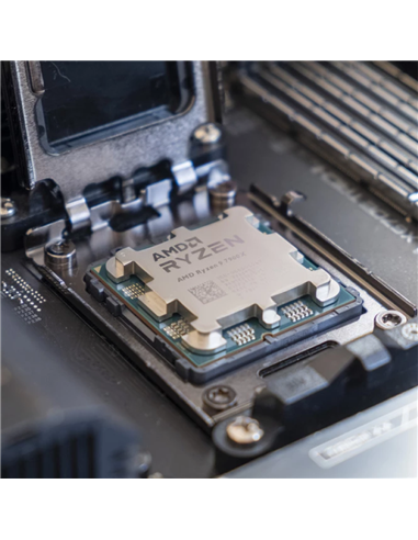 Процессор AMD Ryzen 9 7900X, AMD Radeon Graphics,  | Tray