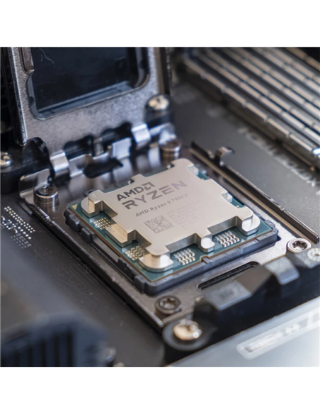 Процессор AMD Ryzen 9 7900X, AMD Radeon Graphics,  | Tray