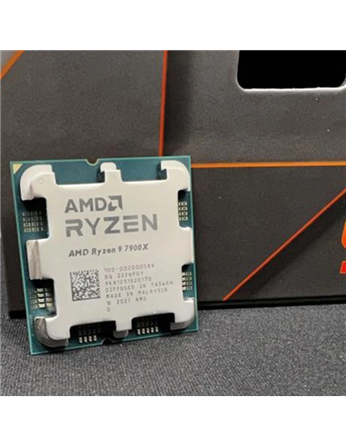 Procesor AMD Ryzen 9 7900X, AMD Radeon Graphics,  | Tray