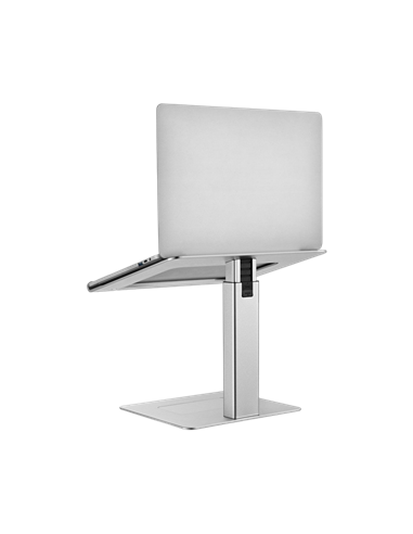 Stand pentru laptop Gembird NBS-D1-02, Argintiu