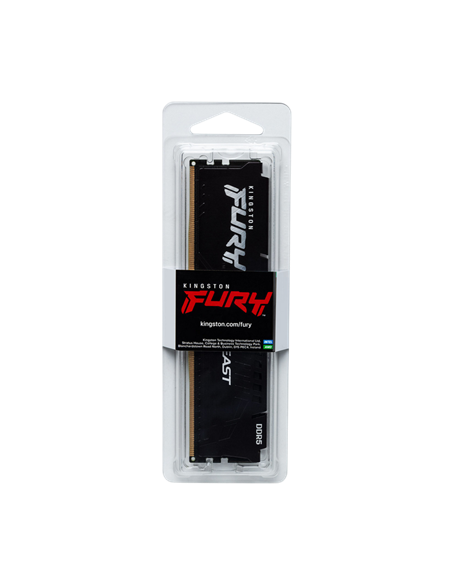 Оперативная память Kingston FURY Beast, DDR5 SDRAM, 6800 МГц, 16 ГБ, KF568C34BBE-16