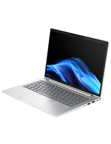 Laptop Business 14" HP ProBook 4 G1a 14, Pike Silver, AMD Ryzen 5 230, 16GB/512GB, FreeDOS