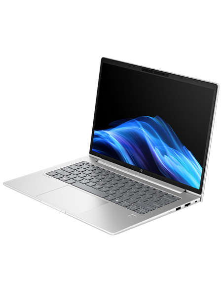 Laptop Business 14" HP ProBook 4 G1a 14, Pike Silver, AMD Ryzen 5 230, 16GB/512GB, FreeDOS