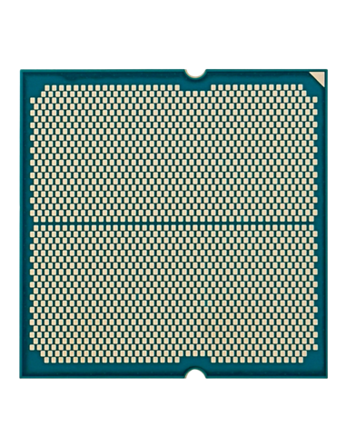 Procesor AMD Ryzen 5 7600X, AMD Radeon Graphics,  | Tray
