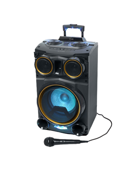 Microfon Karaoke MUSE MC-20 B, Cu fir, Negru