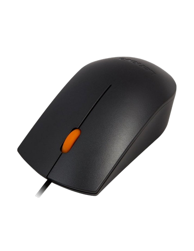 Set Tastatură + Mouse Lenovo 300 USB Combo, Cu fir, Negru