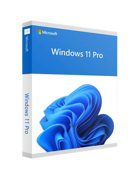 Sistem de operare Windows 11 Pro 64Bit Russian 1pk DSP OEI DVD