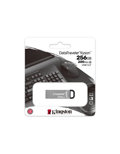 USB Flash накопитель Kingston DataTraveler Kyson, 256Гб, Серебристый
