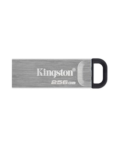 USB Flash накопитель Kingston DataTraveler Kyson, 256Гб, Серебристый