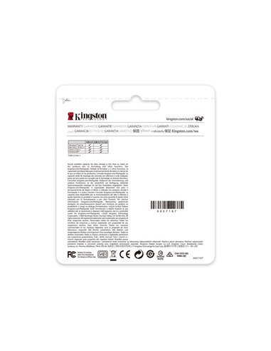 USB Flash накопитель Kingston DataTraveler Kyson, 256Гб, Серебристый