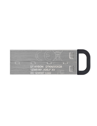 Memorie USB Kingston DataTraveler Kyson, 256GB, Argintiu
