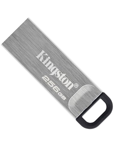 USB Flash накопитель Kingston DataTraveler Kyson, 256Гб, Серебристый