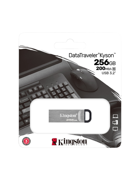 USB Flash накопитель Kingston DataTraveler Kyson, 256Гб, Серебристый