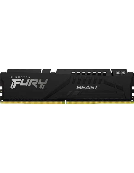 Оперативная память Kingston FURY Beast, DDR5 SDRAM, 5600 МГц, 32 ГБ, KF556C36BBE-32