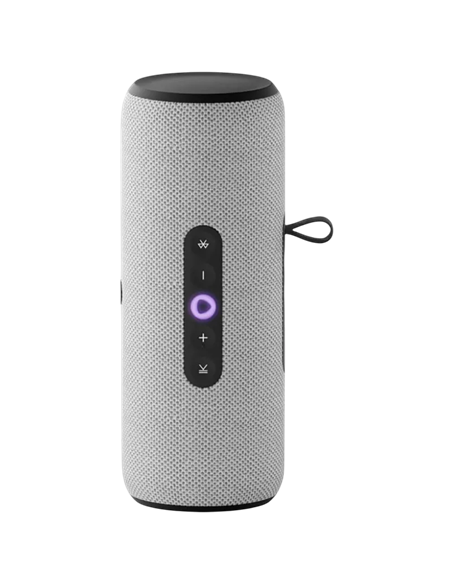Difuzor Inteligent Yandex Station Street, Gri