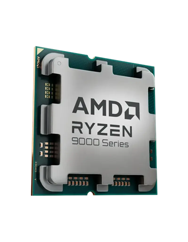 Procesor AMD Ryzen 9 9900X, AMD Radeon Graphics,  | Tray