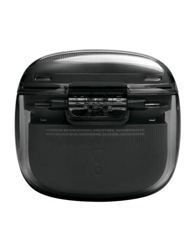 Наушники JBL Tune Flex 2 Ghost, Чёрный