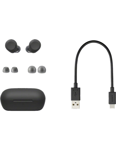 Наушники SONY WF-C710N, Чёрный