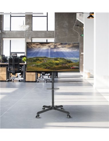 Suport TV Mobil Reflecta TV Stand 55P, Negru
