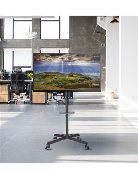 Suport TV Mobil Reflecta TV Stand 55P, Negru