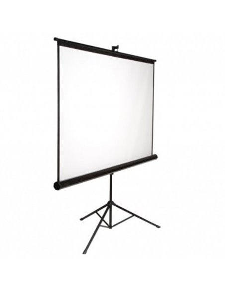 Ecran manual Reflecta Crystal-Line, 1:1