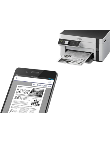 Multifunctional Inkjet Epson M2120, Gri
