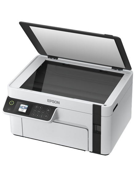 Multifunctional Inkjet Epson M2120, Gri