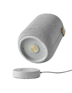 Портативная колонка Harman Kardon Citation 200, Серый 2
