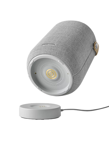 Портативная колонка Harman Kardon Citation 200, Серый