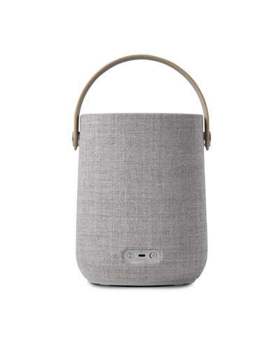 Портативная колонка Harman Kardon Citation 200, Серый