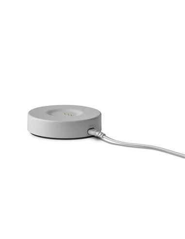 Портативная колонка Harman Kardon Citation 200, Серый