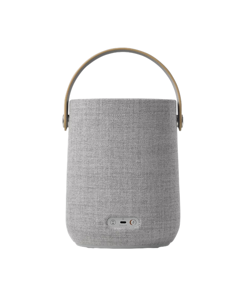 Портативная колонка Harman Kardon Citation 200, Серый