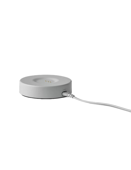 Портативная колонка Harman Kardon Citation 200, Серый