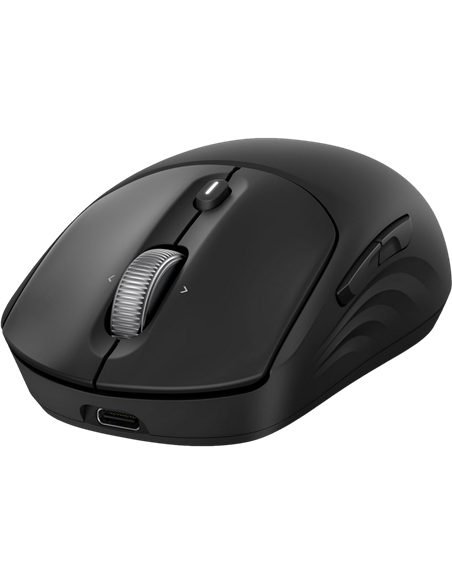 Мышь HP 700 Rechargeable, Чёрный