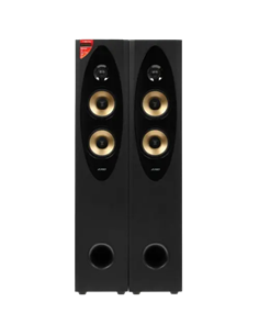 Sistem Audio F&D T-60X PRO, Negru