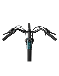 Bicicletă Electrică Fiido C11, Albastru 2
