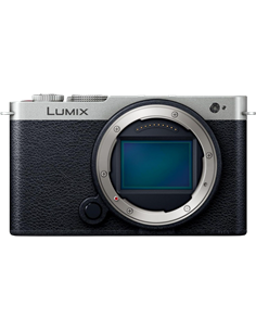 Беззеркальный фотоаппарат Panasonic Lumix DC-S9E-SA