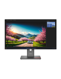 32" Monitor Gaming Lenovo ThinkVision P32UD-40, IPS 3840x2160 4K UHD, Negru