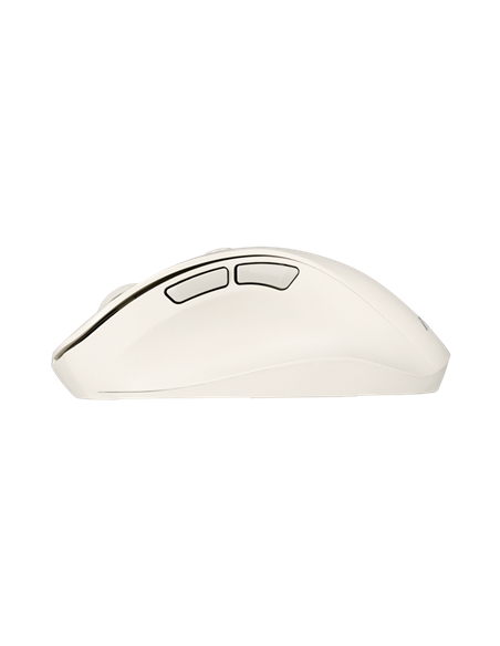 Мышь ASUS MD105, Milky White