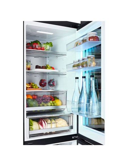 Frigider LG GBG719MDNN, Multicolor