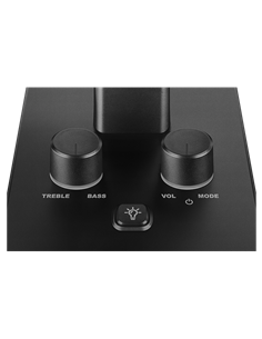 Sistem audio  SVEN G600, Negru 2