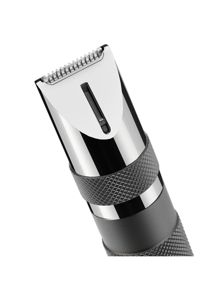 Мужской Триммер BaByliss E116E, Серебристый